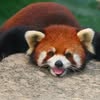 benbounces photo